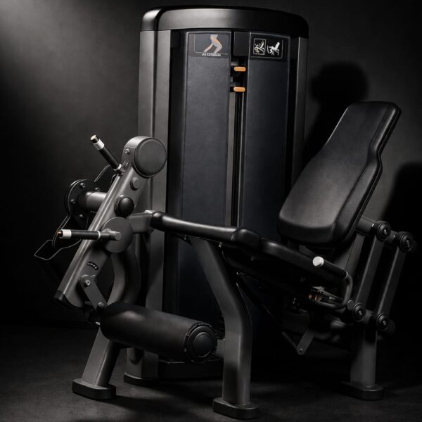 LINEA GREY